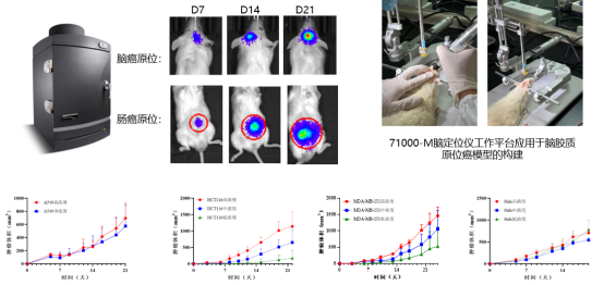 ×ðÁú¿Ê±-ÈËÉú¾ÍÊDz«!