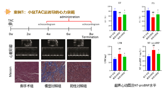 ×ðÁú¿Ê±-ÈËÉú¾ÍÊDz«!