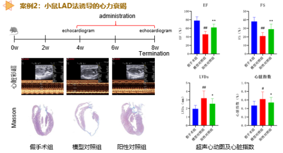 ×ðÁú¿Ê±-ÈËÉú¾ÍÊDz«!