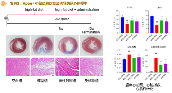 ×ðÁú¿Ê±-ÈËÉú¾ÍÊDz«!