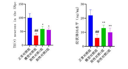 ×ðÁú¿Ê±-ÈËÉú¾ÍÊDz«!