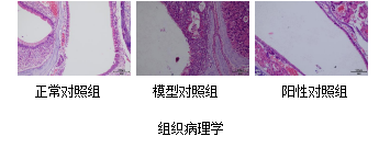 ×ðÁú¿Ê±-ÈËÉú¾ÍÊDz«!