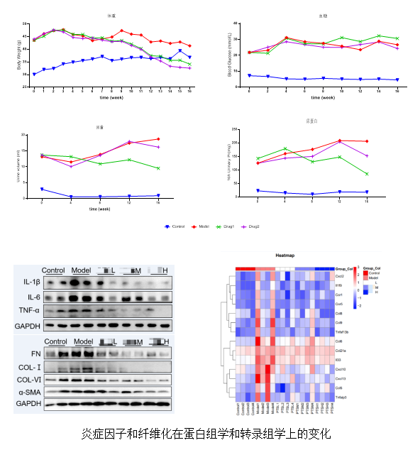 ×ðÁú¿Ê±-ÈËÉú¾ÍÊDz«!