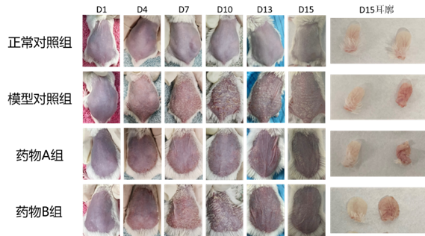 ×ðÁú¿Ê±-ÈËÉú¾ÍÊDz«!